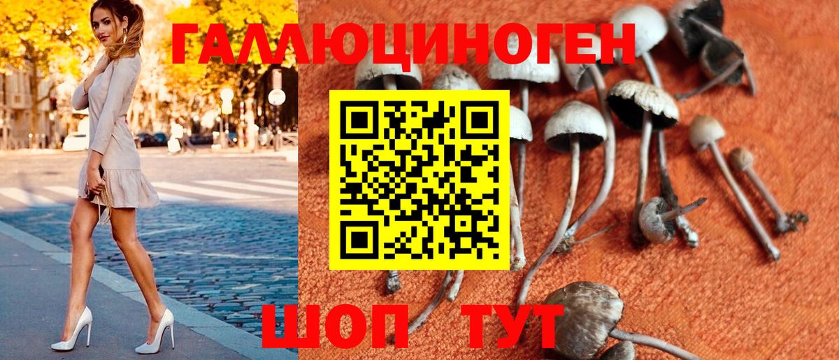 Псилоцибиновые грибы мицелий  Вход с VPN  Барнаул 